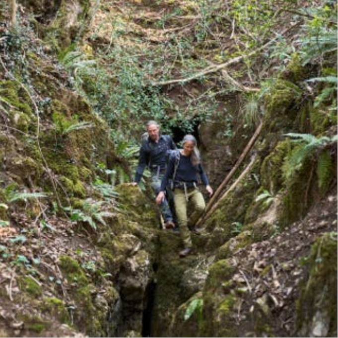 nyomkövető erdő esc férfiak Vivobarefoot R4VH78 páfrány